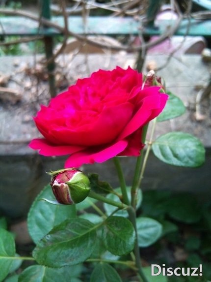 DSC_0999.jpg