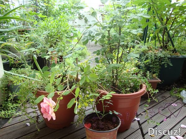 nEO_IMG_DSC01823.jpg