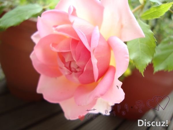 nEO_IMG_DSC01827.jpg