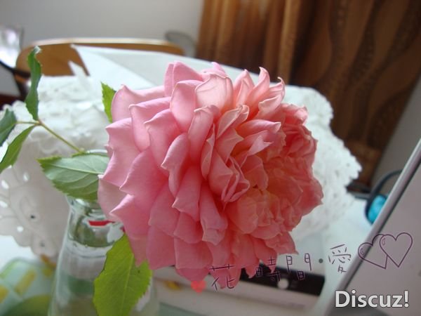 nEO_IMG_DSC01828.jpg