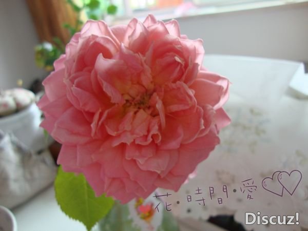 nEO_IMG_DSC01829.jpg