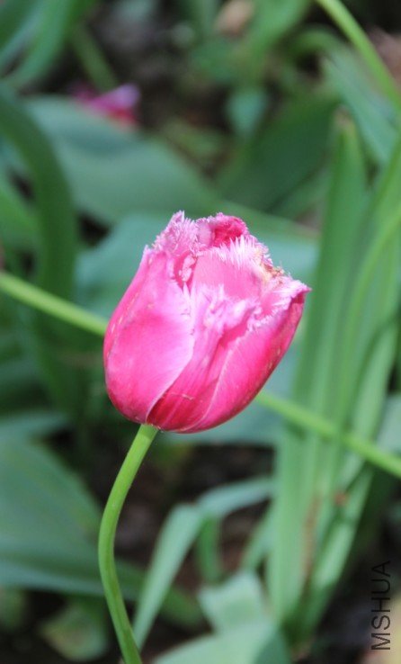 94.jpg