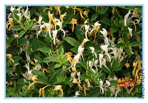 ��Ƭ 051_����2.jpg