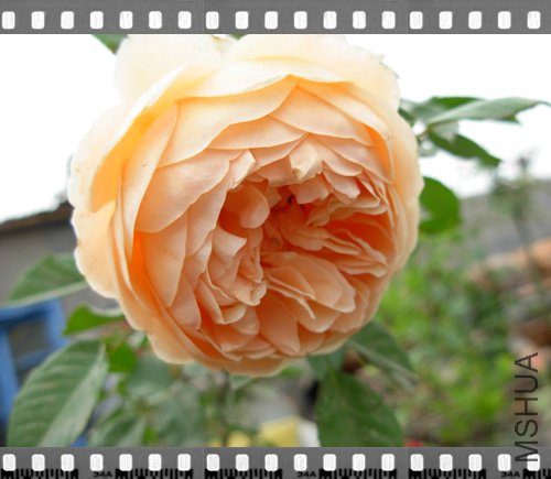 DSCN4280.jpg
