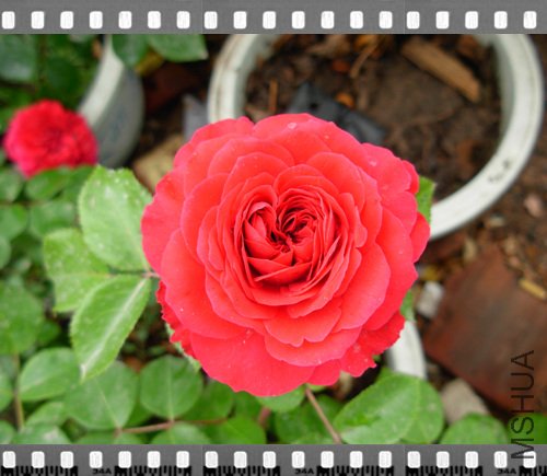 DSCN4282.jpg