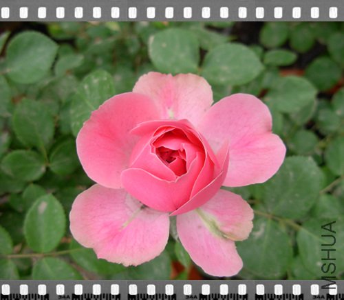 DSCN4287.jpg