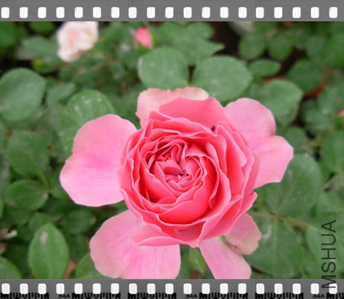 DSCN4299.jpg