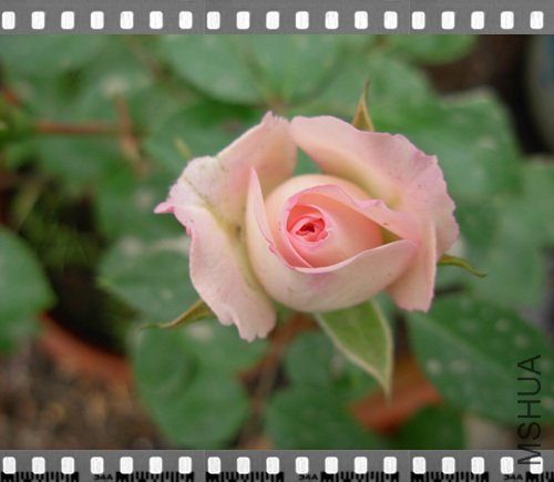 DSCN4290.jpg