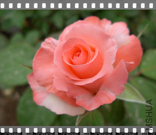 DSCN4281.jpg