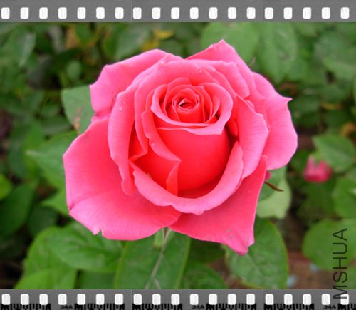 DSCN4298.jpg