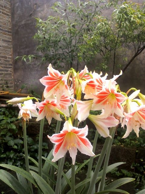 YP20120513102139.jpg