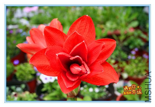 ��Ƭ 002_����2.jpg