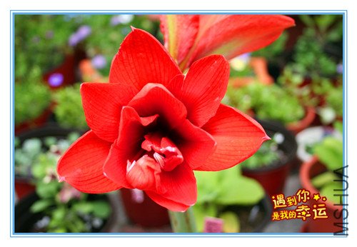 ��Ƭ 003_������1.jpg