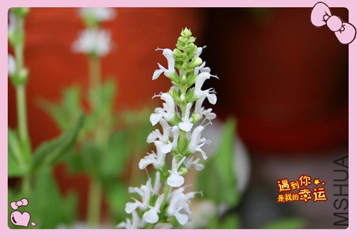 ��Ƭ 029_�������1.jpg