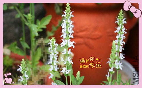 ��Ƭ 028_�������2.jpg