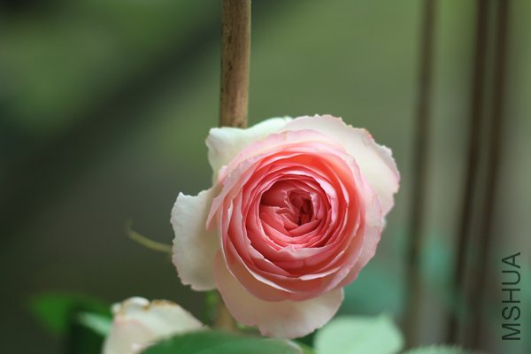IMG_0625.jpg