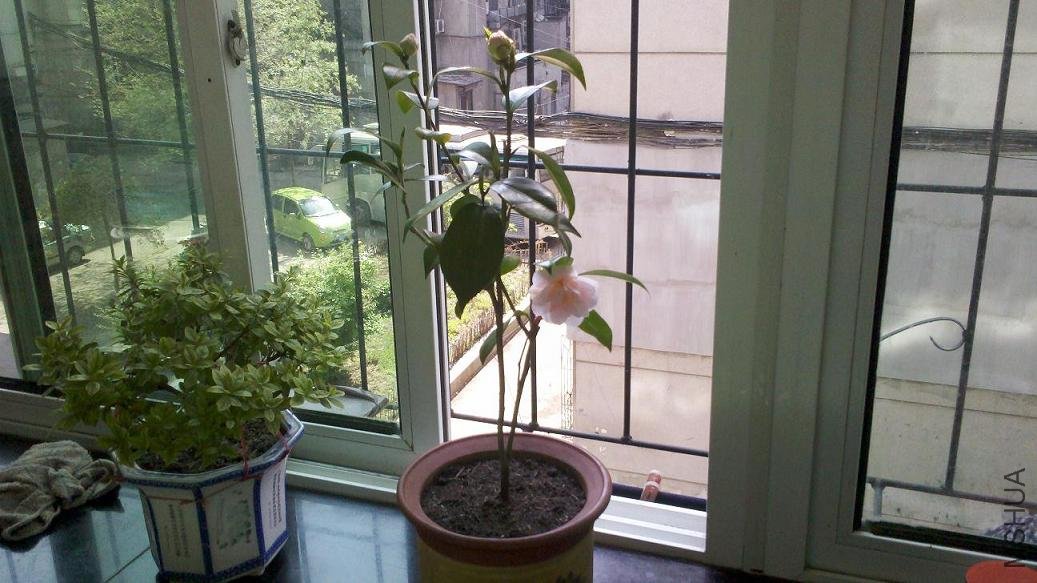 2012-05-13_14-20-04_949.jpg