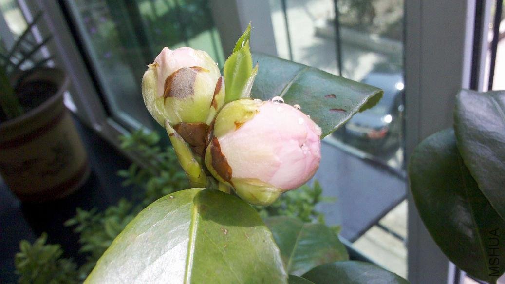 2012-05-13_14-20-32_383.jpg