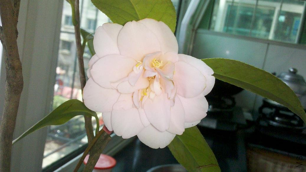 2012-05-13_14-20-55_951.jpg