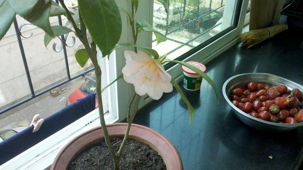2012-05-13_14-21-05_431.jpg