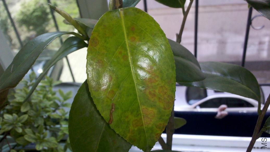 2012-05-13_14-21-18_661.jpg