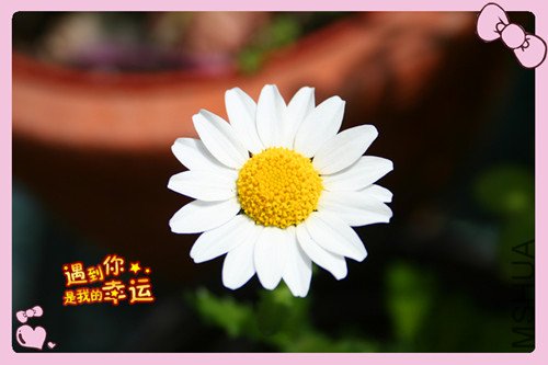 ��Ƭ 029_������.jpg