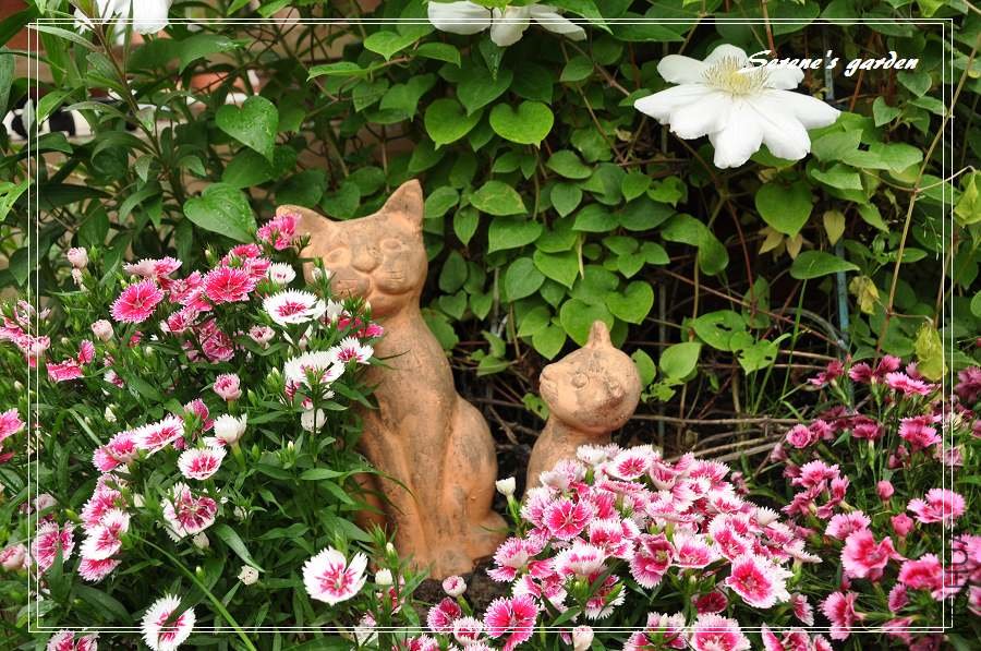 DSC_2401 - ����.jpg