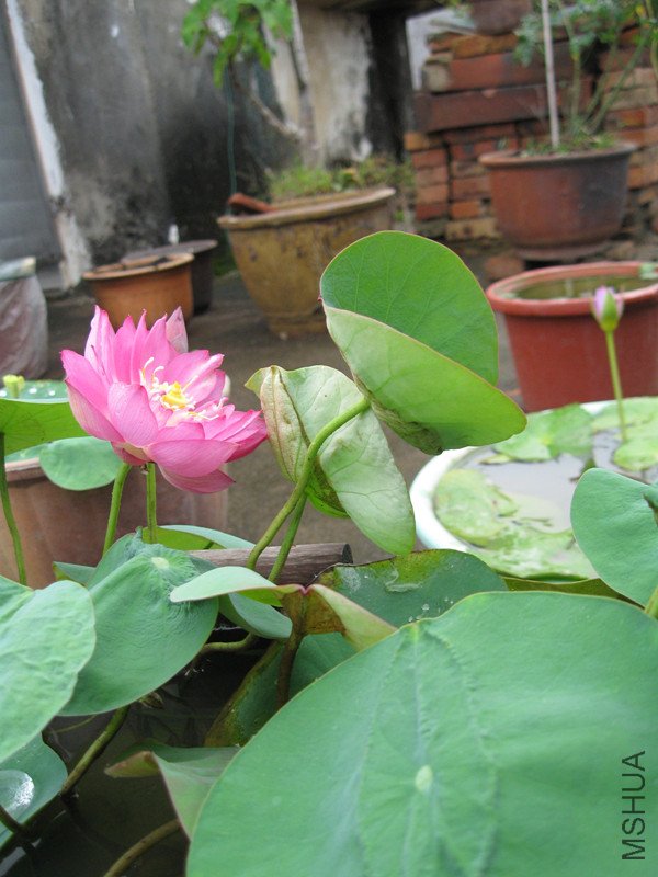��Ƭ 023_����.jpg