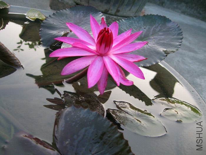 ��Ƭ 004_����.jpg