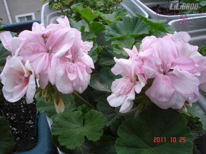 nEO_IMG_α�� (3).jpg