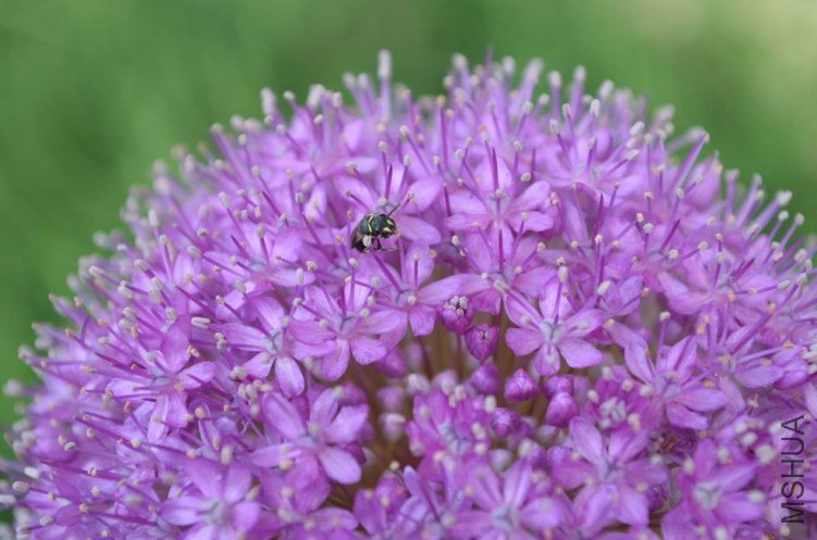 ������С ����20120512 002.JPG