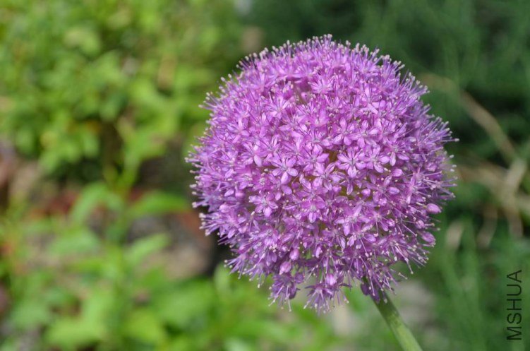 ������С ����20120512 001.JPG