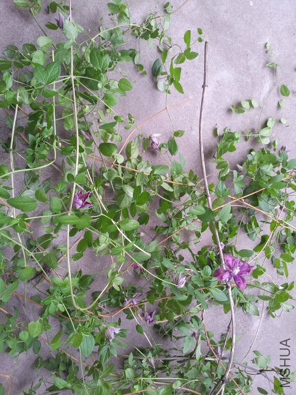 20120512_171039.jpg