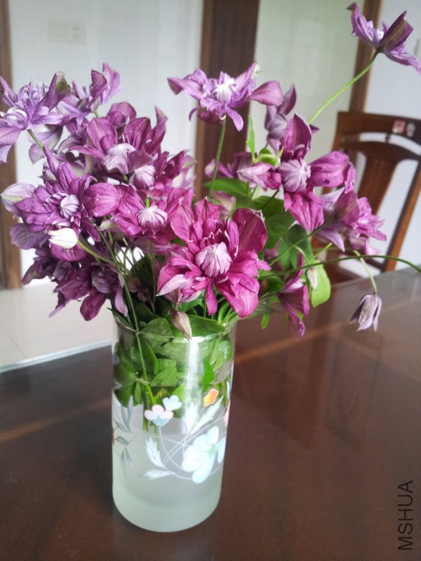 20120514_132157.jpg