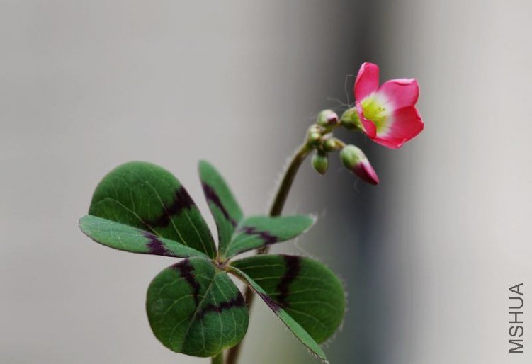 IMG_85692012.05.14.jpg