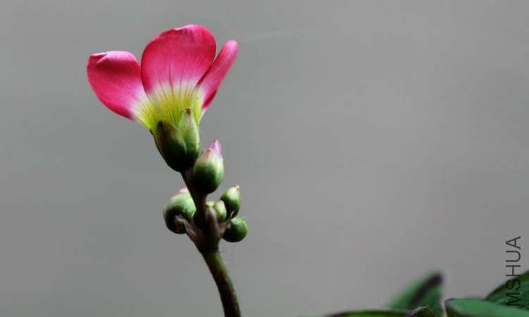 IMG_85742012.05.14.jpg