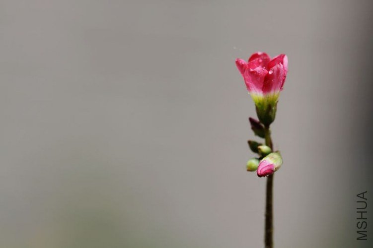 IMG_85782012.05.14.jpg