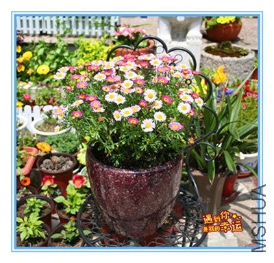 ��Ƭ 009_������1_����_����.jpg