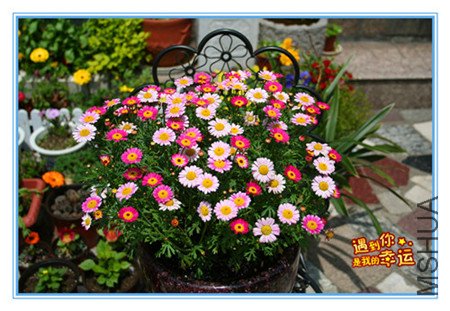 ��Ƭ 011_������2_����.jpg