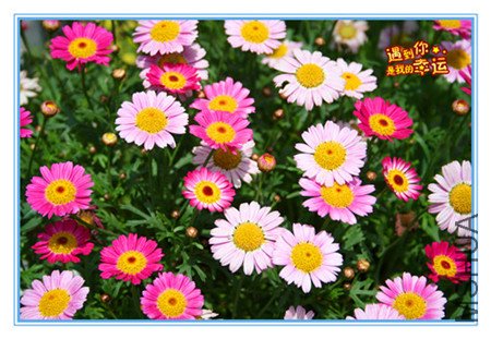 ��Ƭ 012_������3_����.jpg