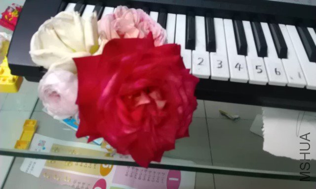 ��֪����ʲôƷ��