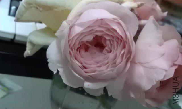 IMAG0295.jpg