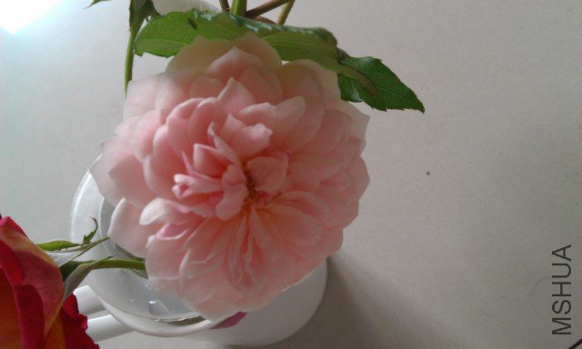IMAG0299.jpg