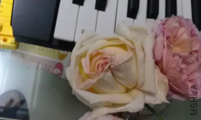 IMAG0296.jpg
