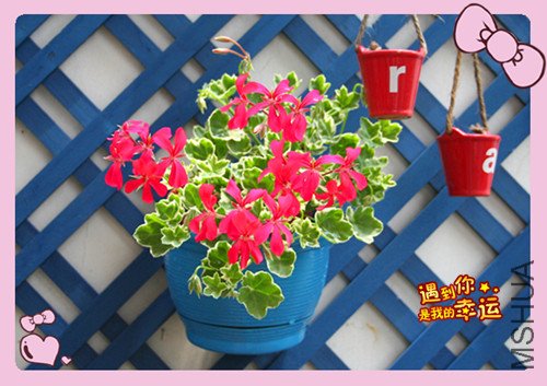 ��Ƭ 004_������˫1.jpg