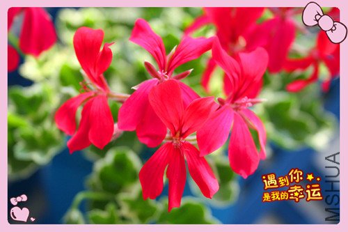 ��Ƭ 006_������˫2.jpg