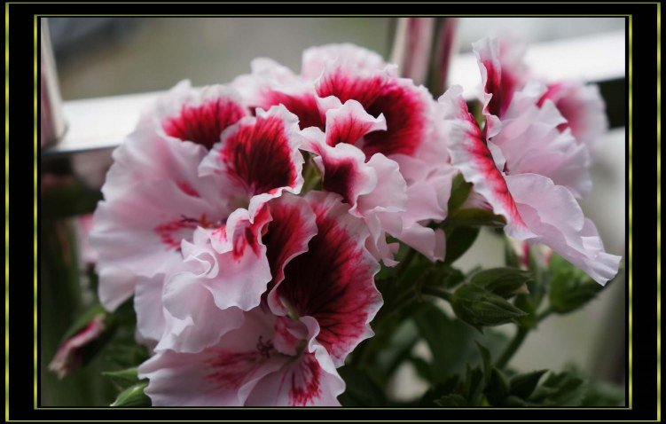 nEO_IMG_DSC00047.jpg