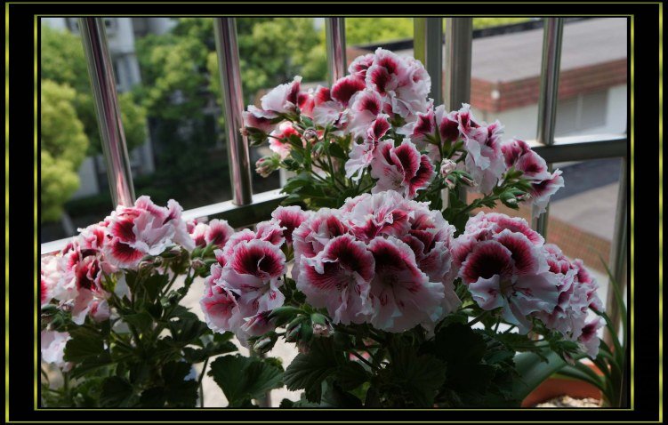 nEO_IMG_DSC00126.jpg