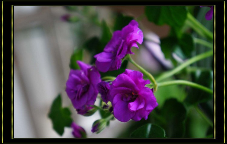nEO_IMG_DSC00328.jpg