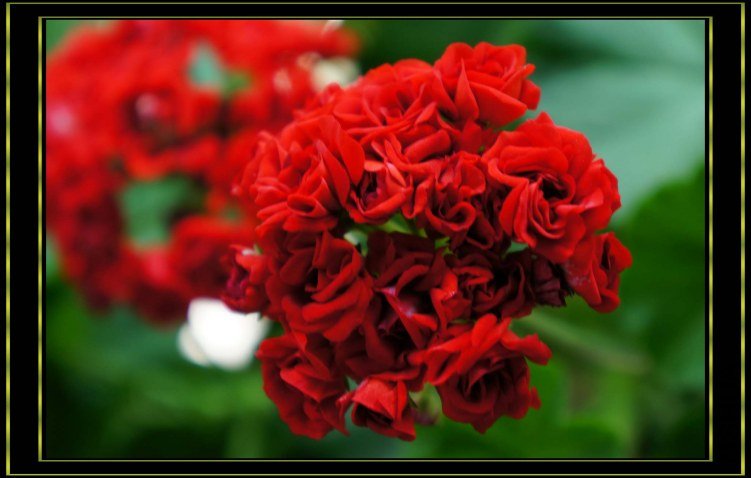 nEO_IMG_DSC00291.jpg